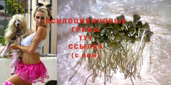 соль ск Видное