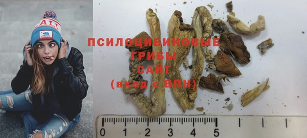 PSILOCYBIN Абдулино
