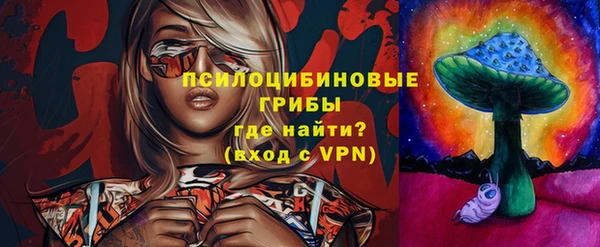 индика Рославль
