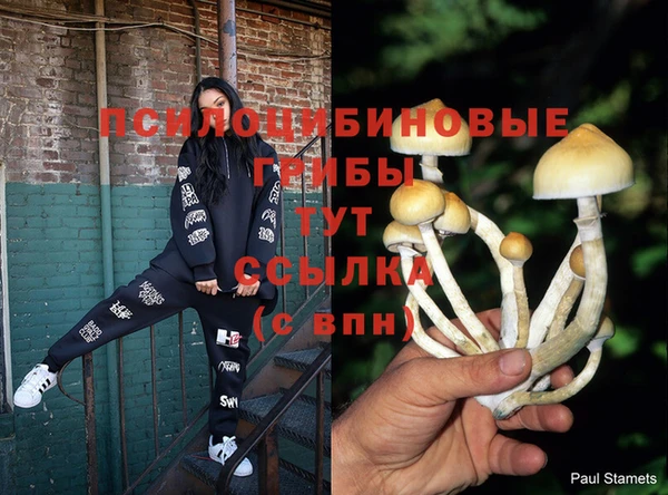 индика Рославль