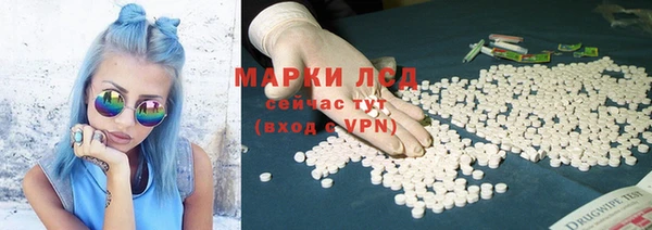 PSILOCYBIN Абдулино