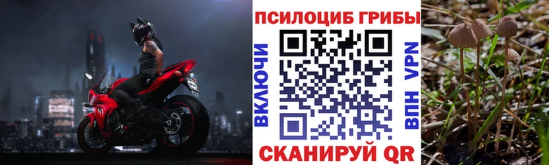 Псилоцибиновые грибы прущие грибы  Кадников 